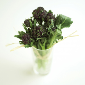 weight loss hypnotherapy leeds, west yorkshire image broccoli