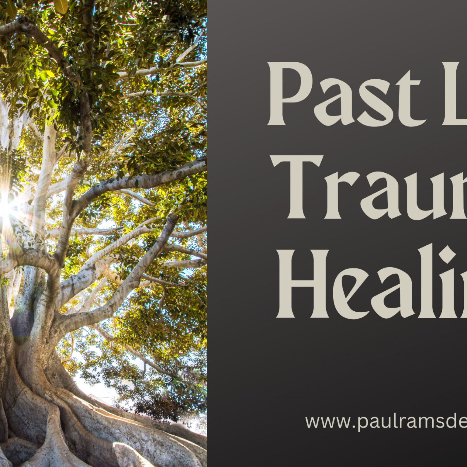 Past Life Trauma Healing